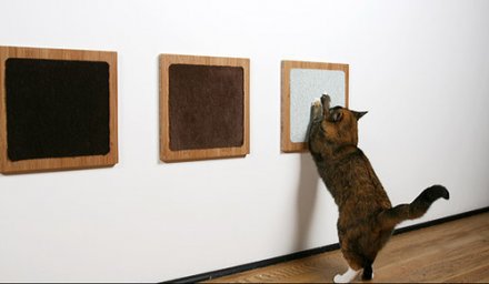 Как отучить кошку царапать мебель