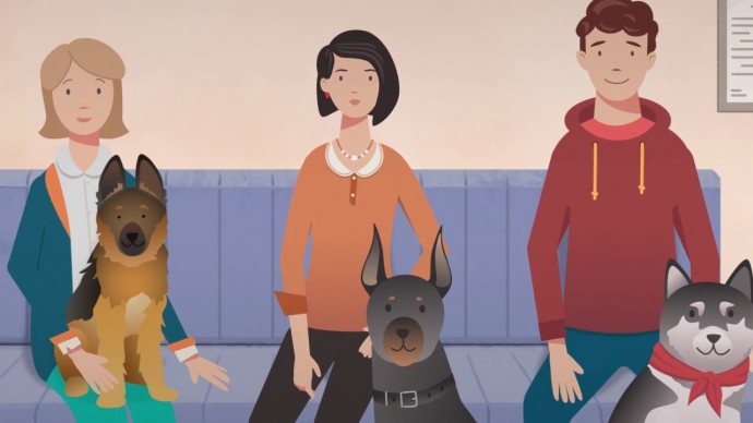 Инструкция от Россельхознадзора: как путешествовать с домашним животным