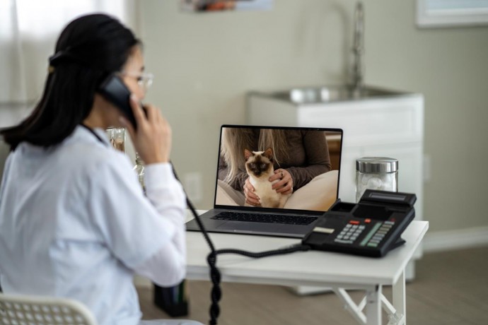 &laquo;Врачи ставят коту диагноз &laquo;блошиный дерматит&raquo;, но у него нет блох. Есть еще какие-то варианты?&raquo;