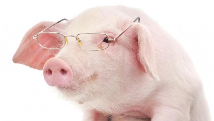 Информация об эпизоотической ситуации в Российской Федерации по состоянию на 7 августа 2022 г.