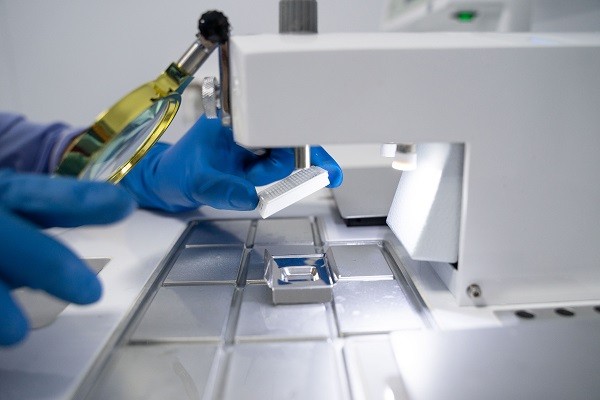 Появления вакцины от АЧС в 2021 году