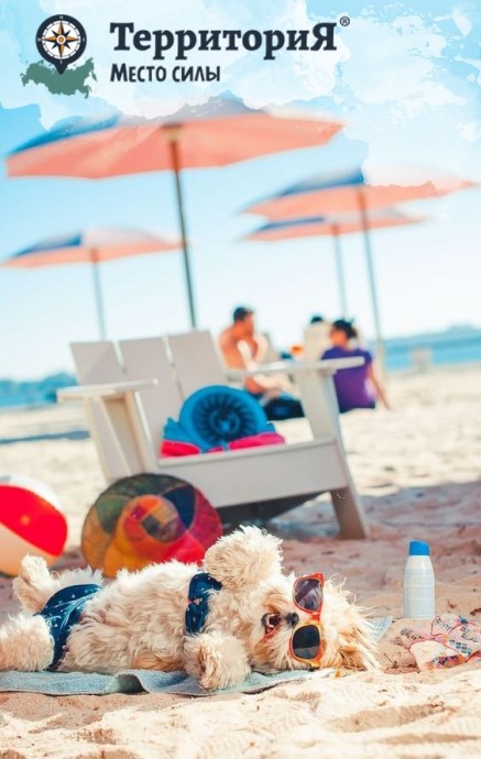 Нужна ли питомцам защита от солнца?