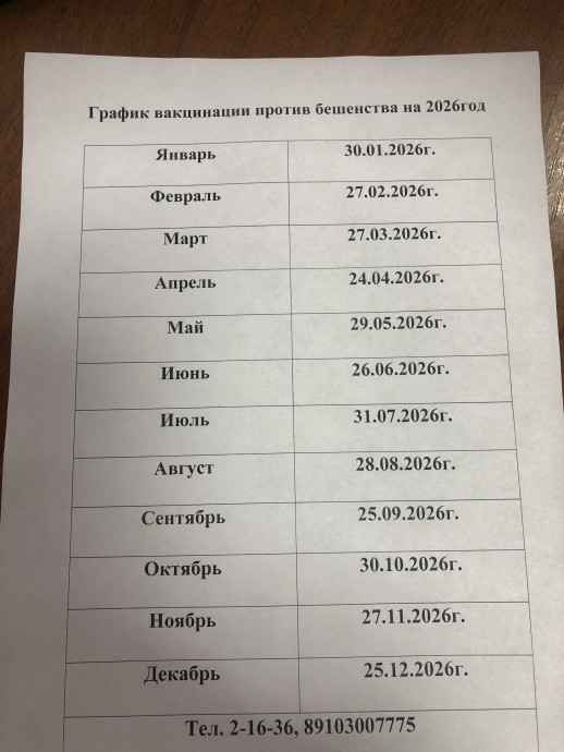 График вакцинации против бешенства