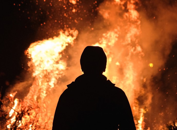 В Иркутской области кот ценой жизни спас хозяйку от гибели на пожаре