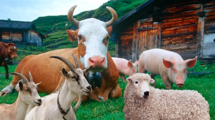 Информация об эпизоотической ситуации в Российской Федерации по состоянию на 14 января 2024 г.