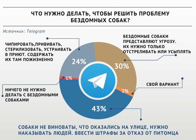 Как решить проблему бездомных собак?
