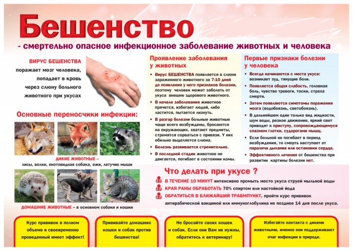 Памятка населению и владельцам животных по бешенству.