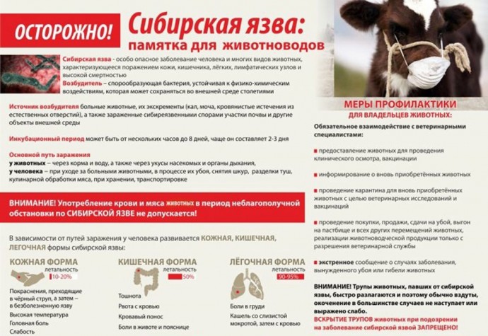 Сибирская язва: памятка для населения и владельцев животных.