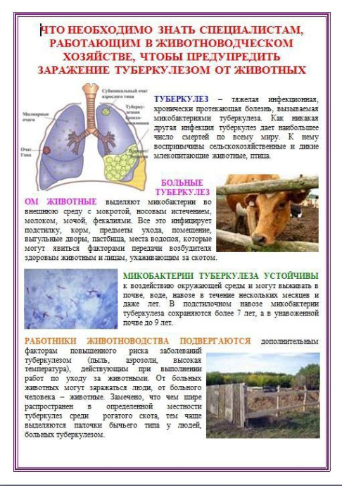 Внимание населению. Туберкулёз животных